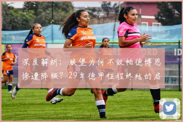 深度解析:狼堡为何不敌帕德博恩惨遭降级?29年德甲征程终结的启示与影响